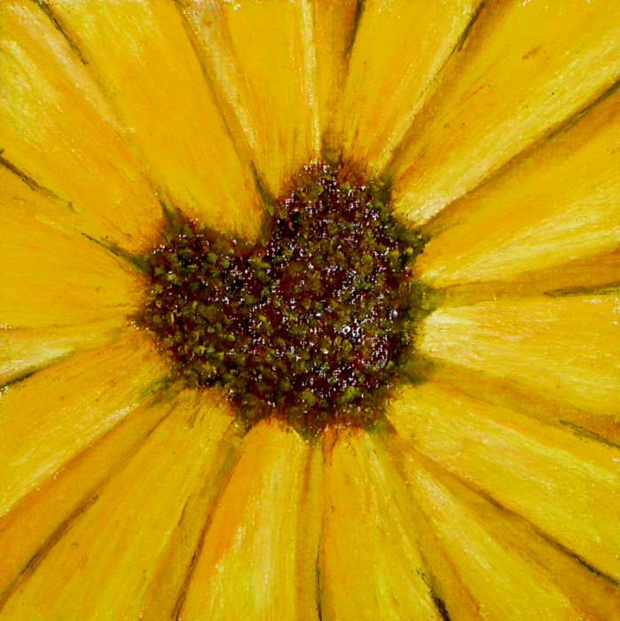 Sunflower heart