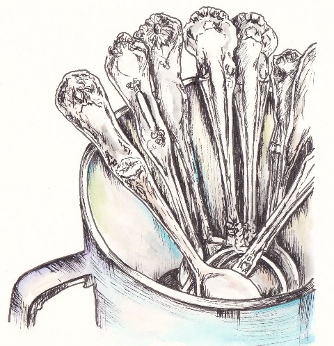 Teaspoons by Tracey Fletcher King