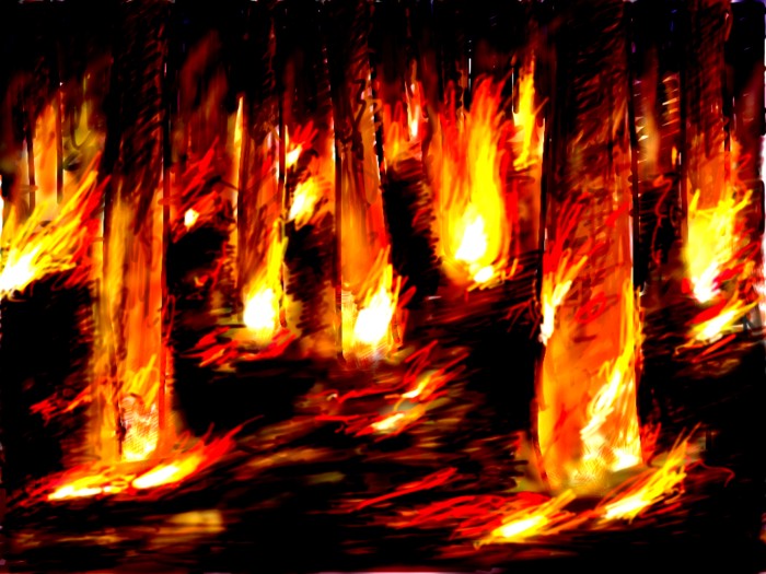 Burning Wood with high contrast